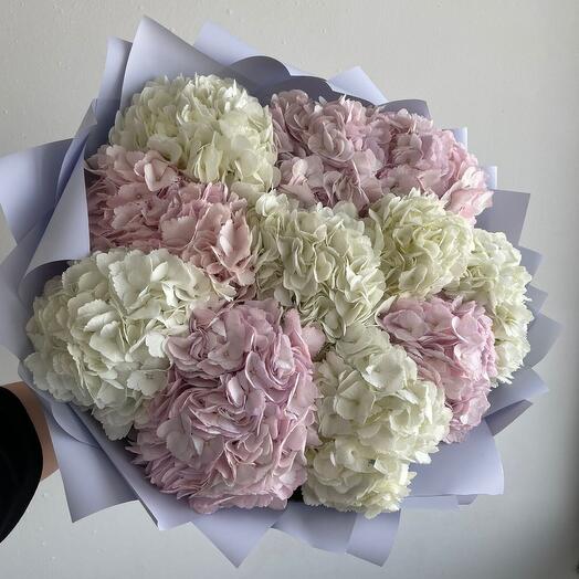 11 Aerial Hydrangeas