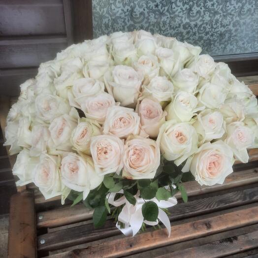 101 peony-shaped White-o-hara rose