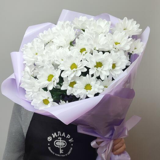 5 bush chrysanthemums