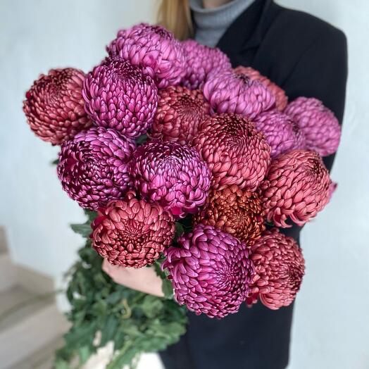 Сезонные хризантемы высокие
