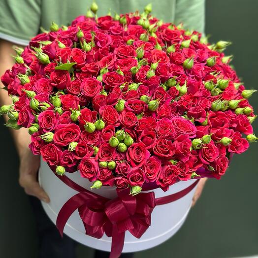 51 кустовых роз в коробке