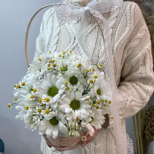 Basket with daisies and chrysanthemums