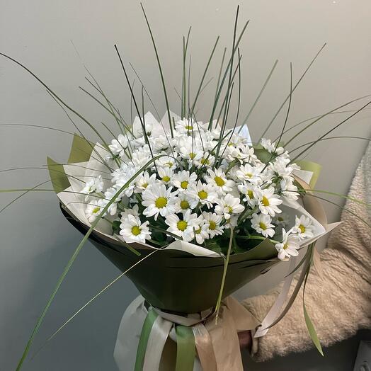 Поле ромашек🌼