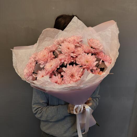 Pink Chrysanthemum