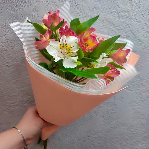 Комплимент