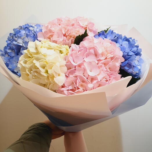 Ramo de hortensias