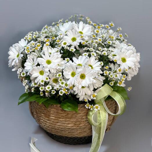 Корзина с ромашками и хризантемами
