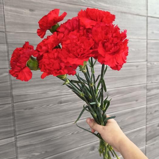 10 гвоздик