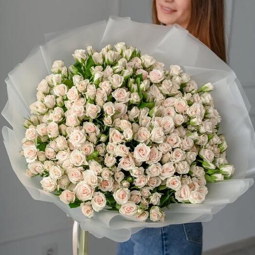 Роял порселина куст 51 шт