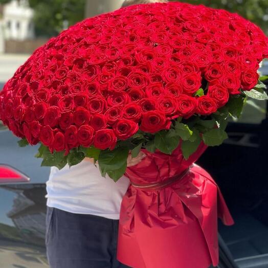 Red roses 301