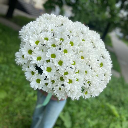Баккарди