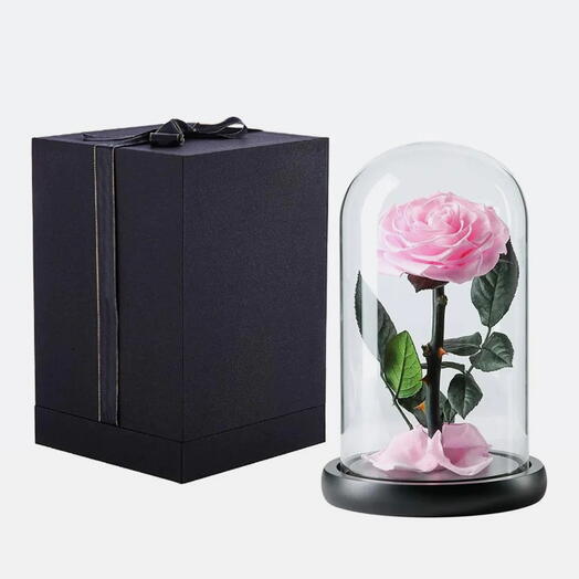Glass Dome Vase With Single Rose Light Pink