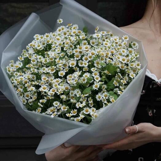 Букет ромашек