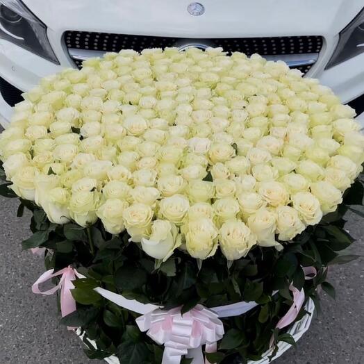 White rose in basket