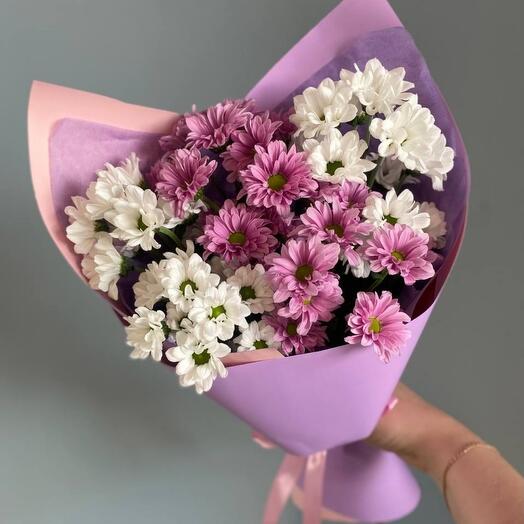 Мини Хризантема