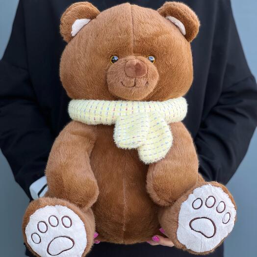 A soft Teddy Bear