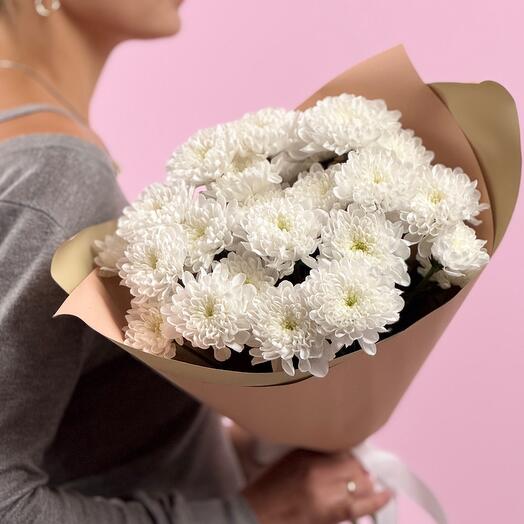 Chrysanthemums bush