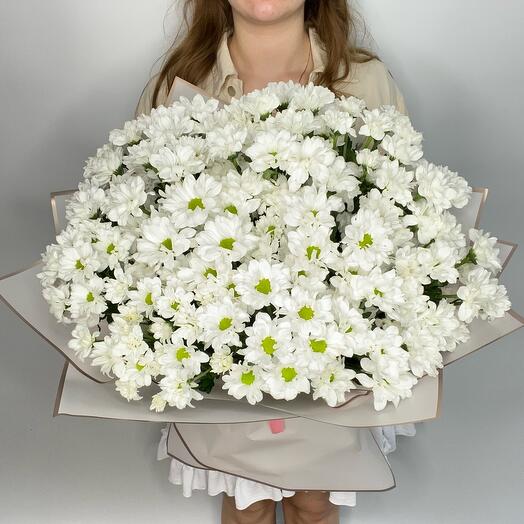 15 хризантем