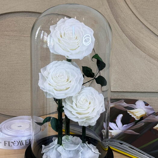 Forever Rose White (3 stems)