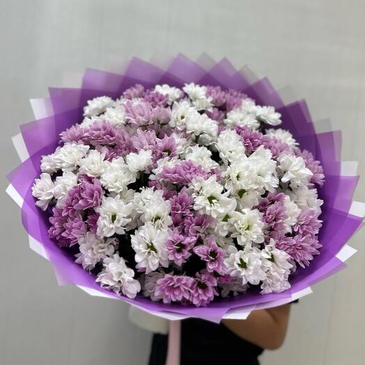 Хризантема кустова микс
