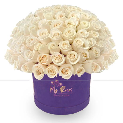 Dark Purple Velvet Box With 200 White Roses