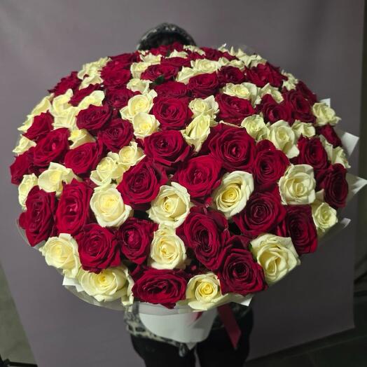 101 Роза White Red MIX XL5