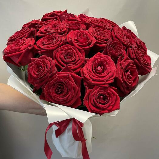 Mono Ramo de 25 Rosas en Película