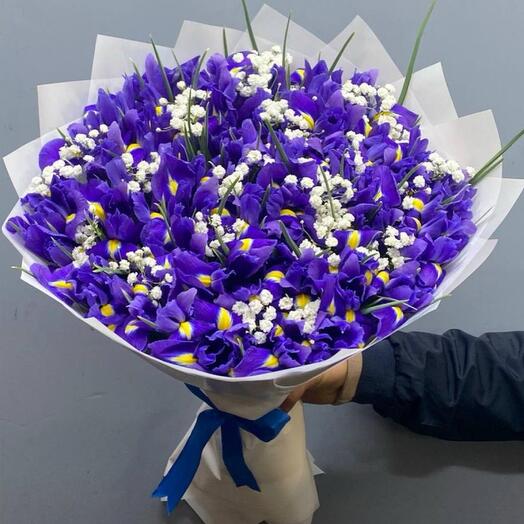 Iris con gypsophila