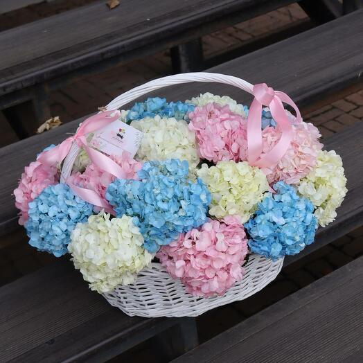 Корзина "Daisy s Delight"