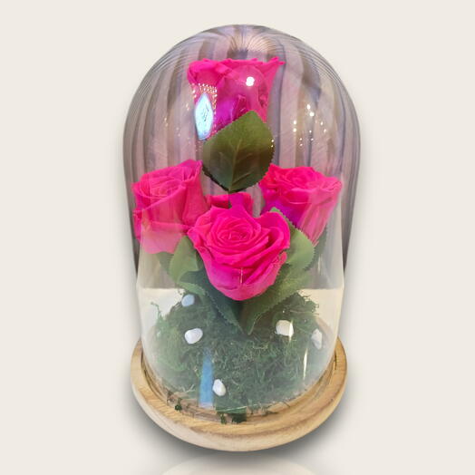 Eternal Elegance Preserved Rose Dome