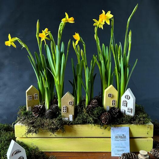 Нарциссовые луга