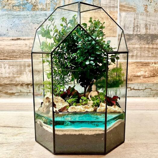 Bonsai Florarium with Myrsina "Zen Garden: The Buddhist world of Bonsai"