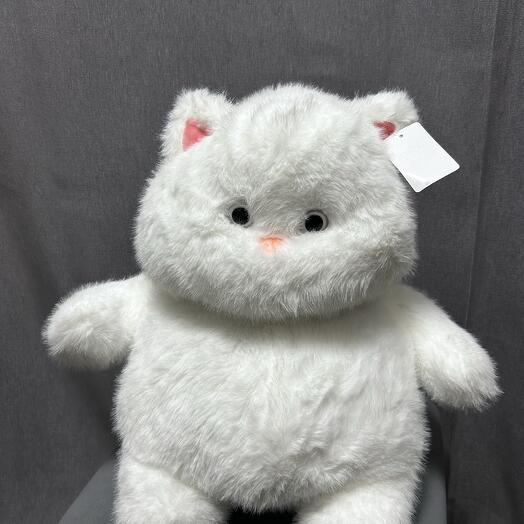 Котёнок «Муся» 🤍