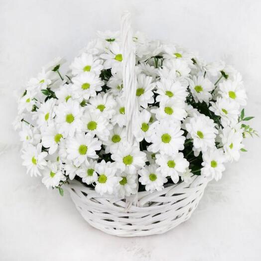 Корзина с цветами/хризантемы кустовые ромашки