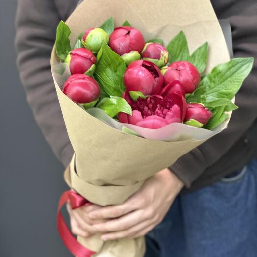 Maroon peonies