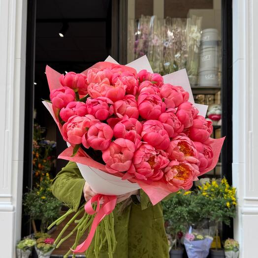 Peony Dream