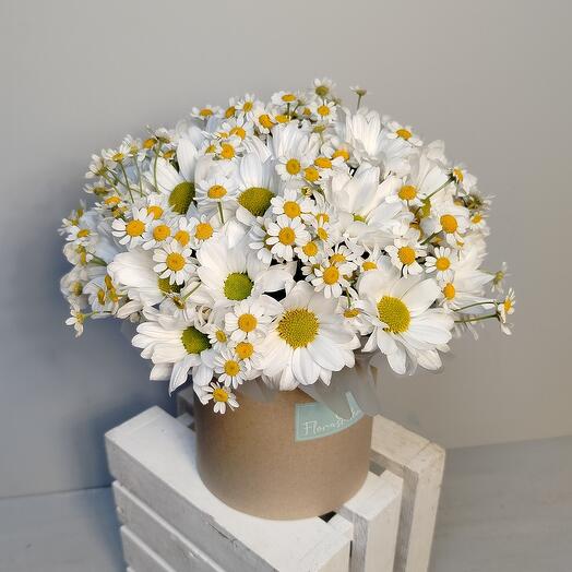 Композиция из ромашки 🌼 в шляпной коробке