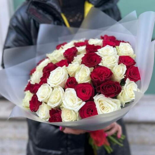 51 роза цвет микс бело красный  (моно 207)