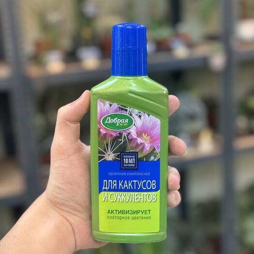 Удобрение для кактусов и суккулентов