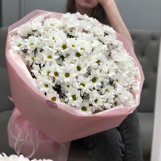 Гигант ромашек