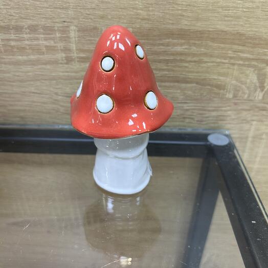 Мухомор малый