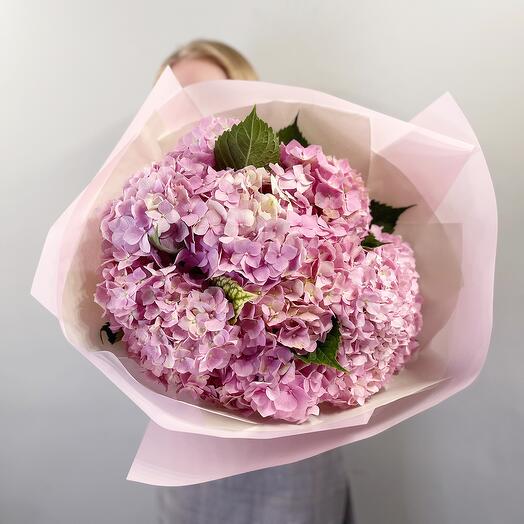 Pink hydrangea