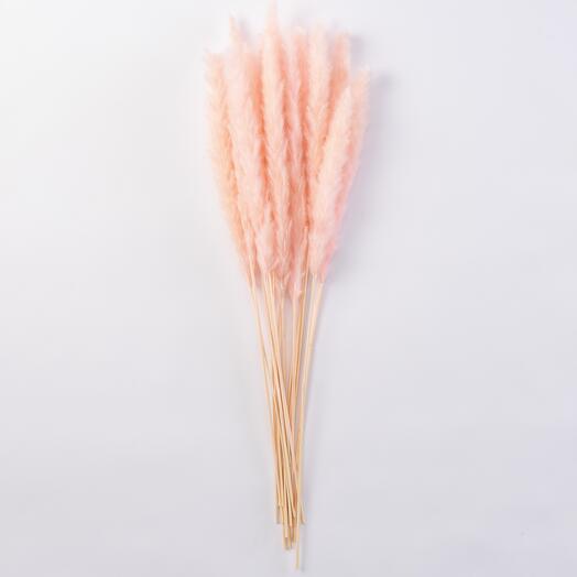 Трава сухоцвет пампас мини 15 шт. светло-розовый высший сорт