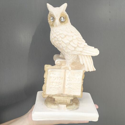 Сова с книгой