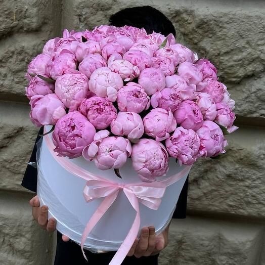 51 штук пионы в коробке