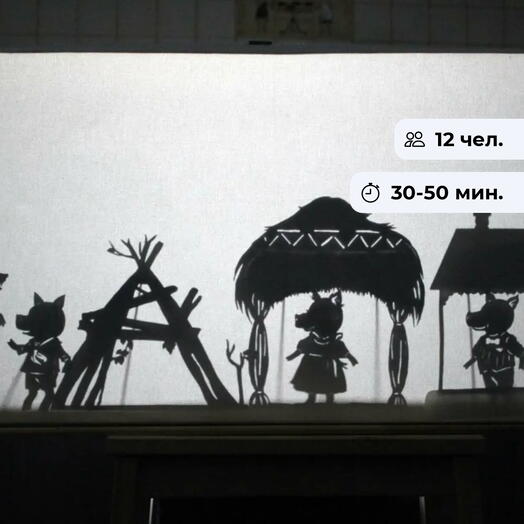 A shadow show.  Musical performance and master class for children
