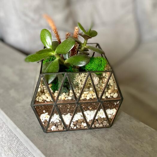 Флорариум подарок для мамы