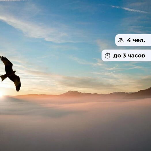 Шёпот крыльев. Экскурсия в центр хищных птиц