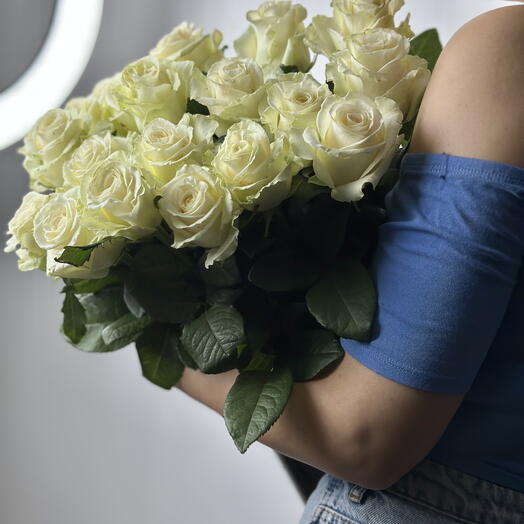 Roża  biała - 17 szt