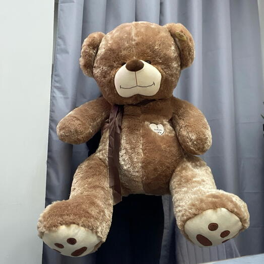 Большой медведь 🐻 🤎